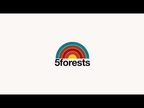 Installing the 5forests template