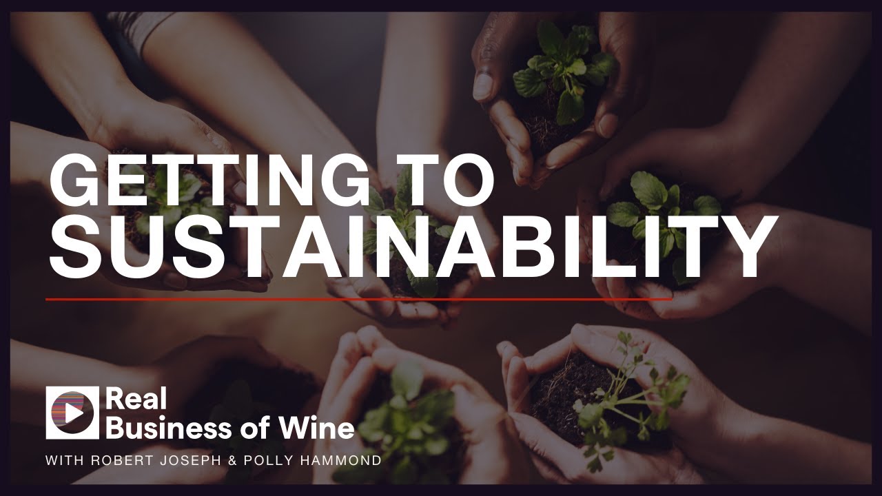 Getting to Sustainability