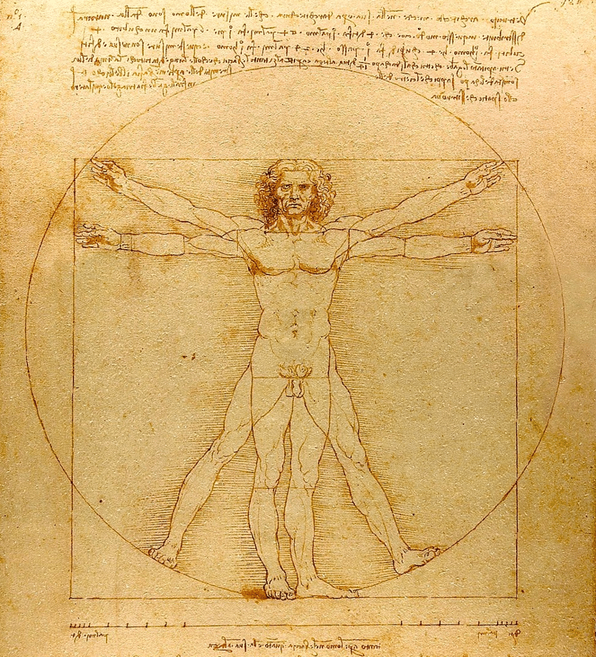Anatomical sketch of naked male by Leonardo da Vinci