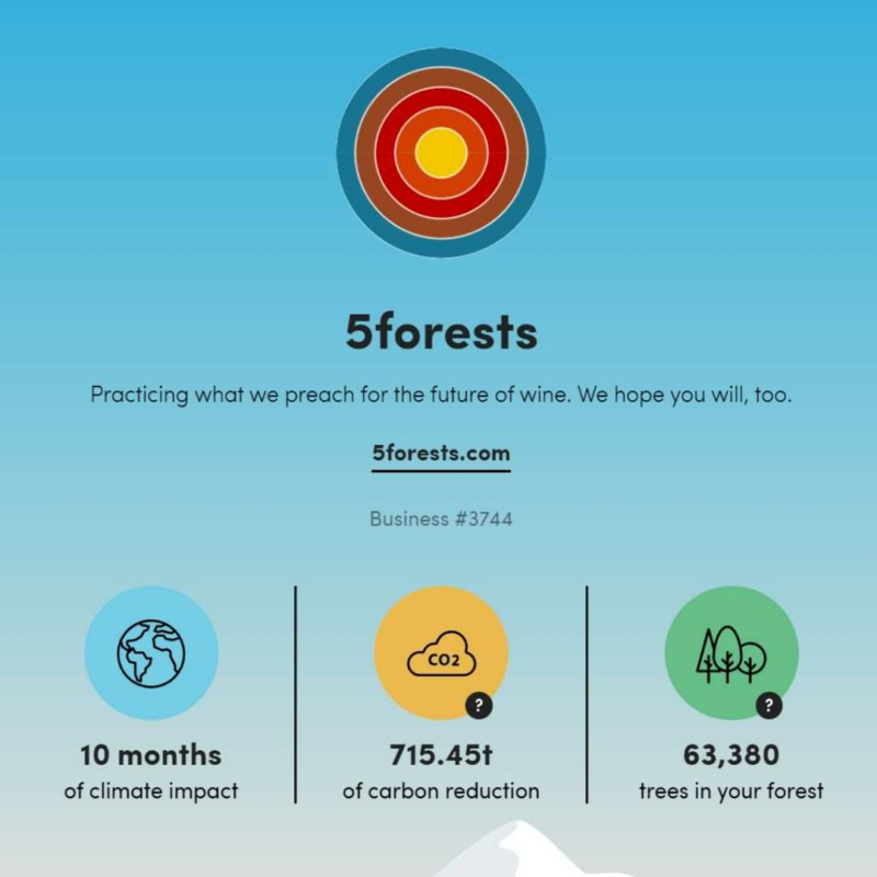5forests ecologi dashboard showing 10 months of climate impact, 715.45 tonnes of carbon reduction, and 63,380 trees in our forest
