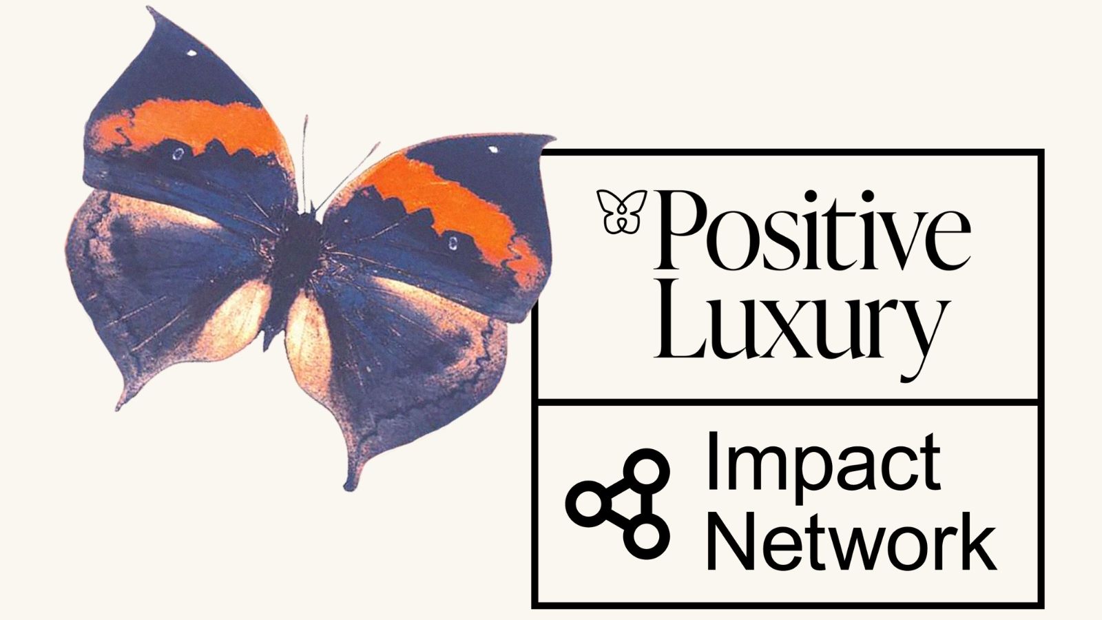 positive luxury logo with retro butterfly