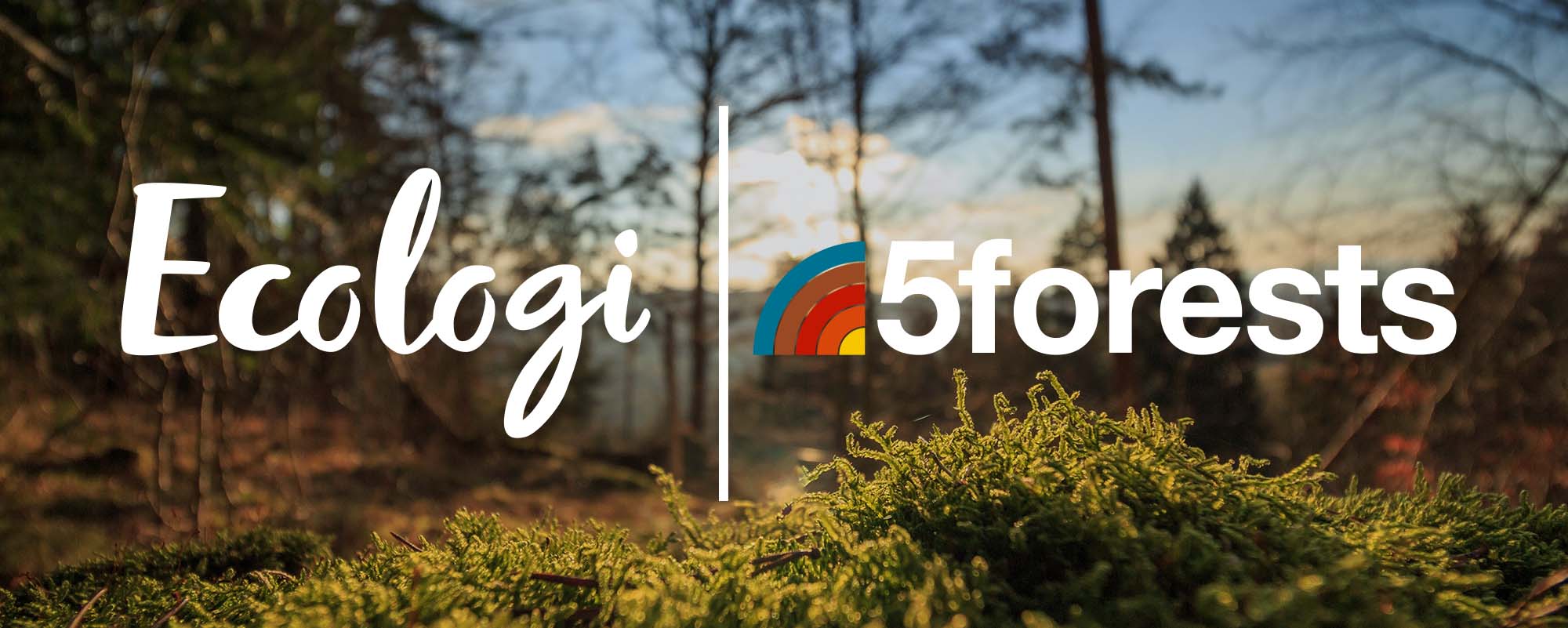 Banner featuring brand logos for Ecologi and 5forests, background of forest floor, trees, and blue sky.