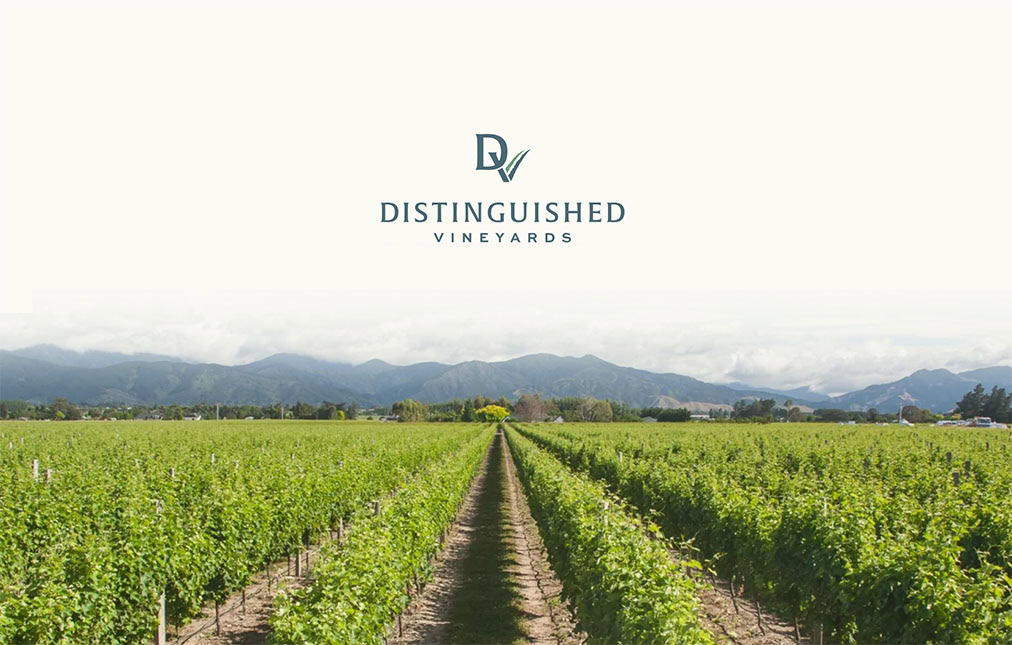 The image shows a lush vineyard with rows of grapevines under a clear sky. in the background, there are distant mountains. at the top, a logo reads 