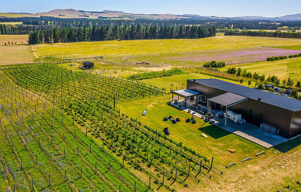 Aerial view of a georges road vineyard featuring rows of grapevines, a modern winery building with a large patio, and a surrounding landscape of green fields and distant tree lines under a clear blue sky.