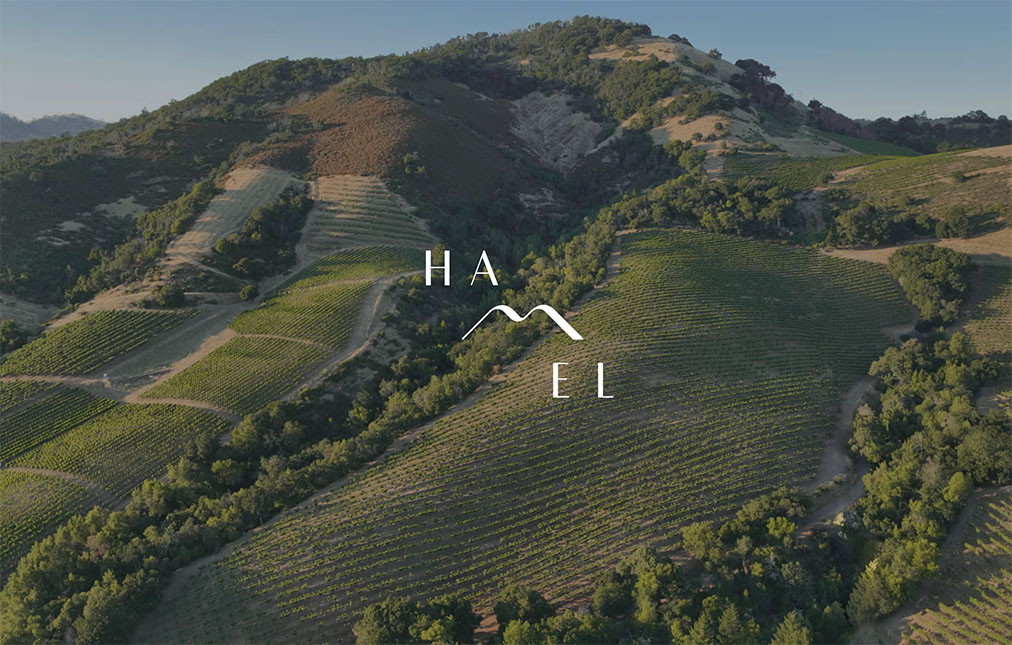 Aerial view of a lush, undulating vineyard with various shades of green indicating different grape varietals, nestled in a mountainous area. the image includes a stylized text 