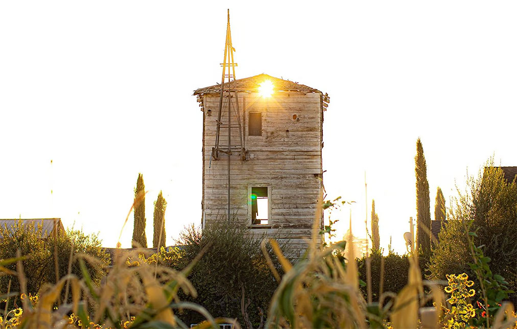 Sunset light shining through a rustic wooden farmhouse surrounded by tall grass and plants, casting a warm glow and creating a serene atmosphere.