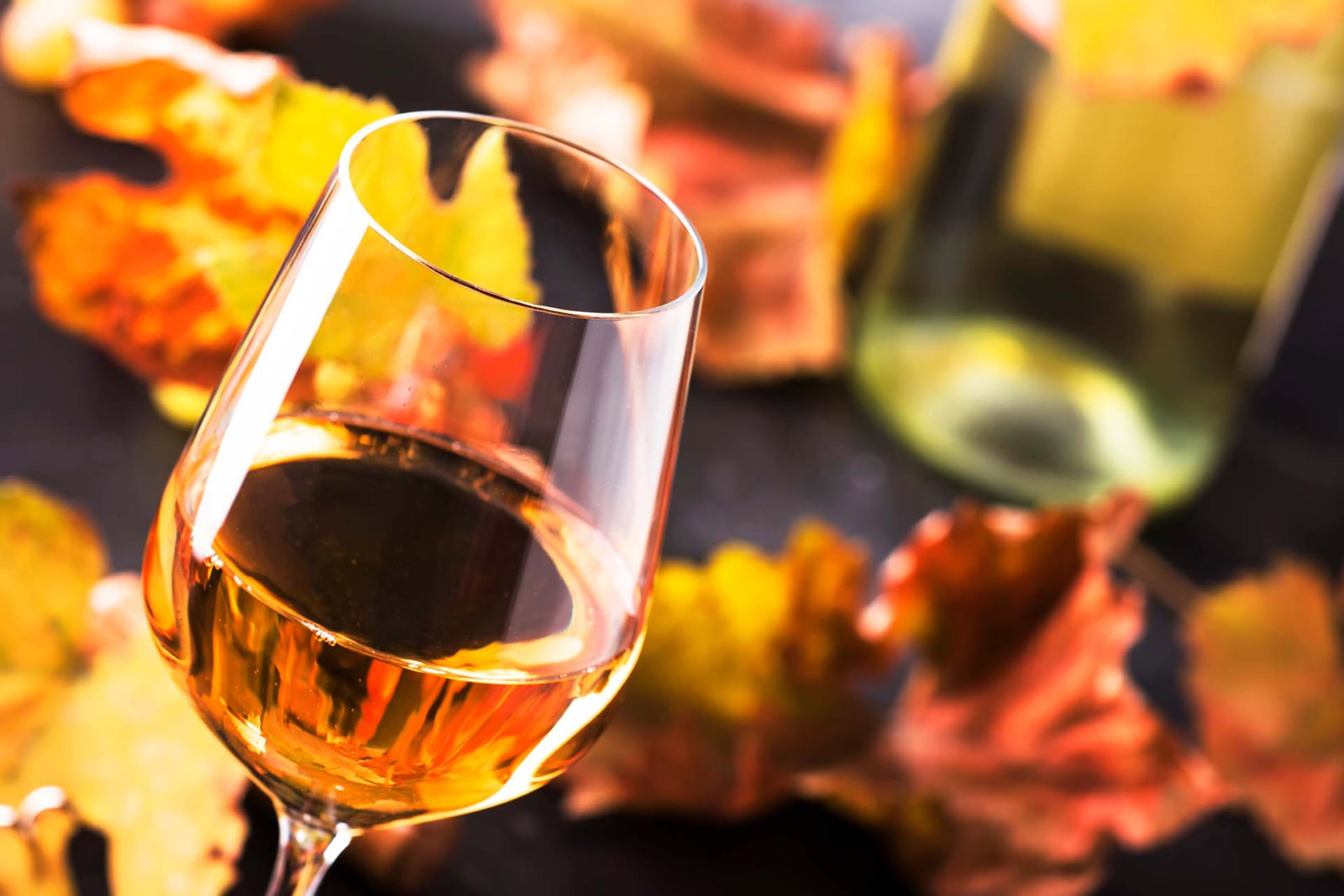 Glass of white wine with background of yellow and orange leaves for autumn