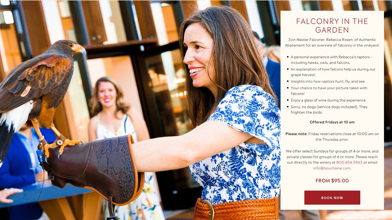A smiling woman, wearing a floral dress and leather glove, holds a brown falcon on her arm during an outdoor falconry experience. Event details and booking information are shown on the right side of the image.