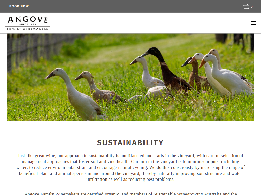 The Angove sustainability page in a desktop browser, headed "Sustainability", with geese walking down a grassed vineyard row above the certification copy.