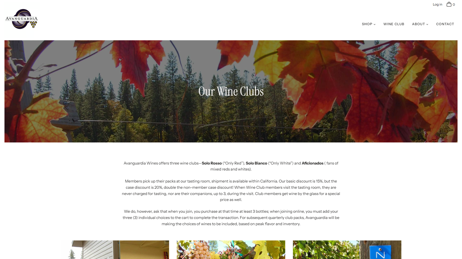The Avanguardia wine clubs page in a desktop browser, headed "Our Wine Clubs" over the autumn foliage, describing the three clubs and their member discounts.