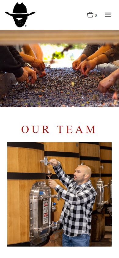 The Borjón team page on a phone, headed "Our Team", with hands sorting fruit at harvest and a winemaker working at a tank.