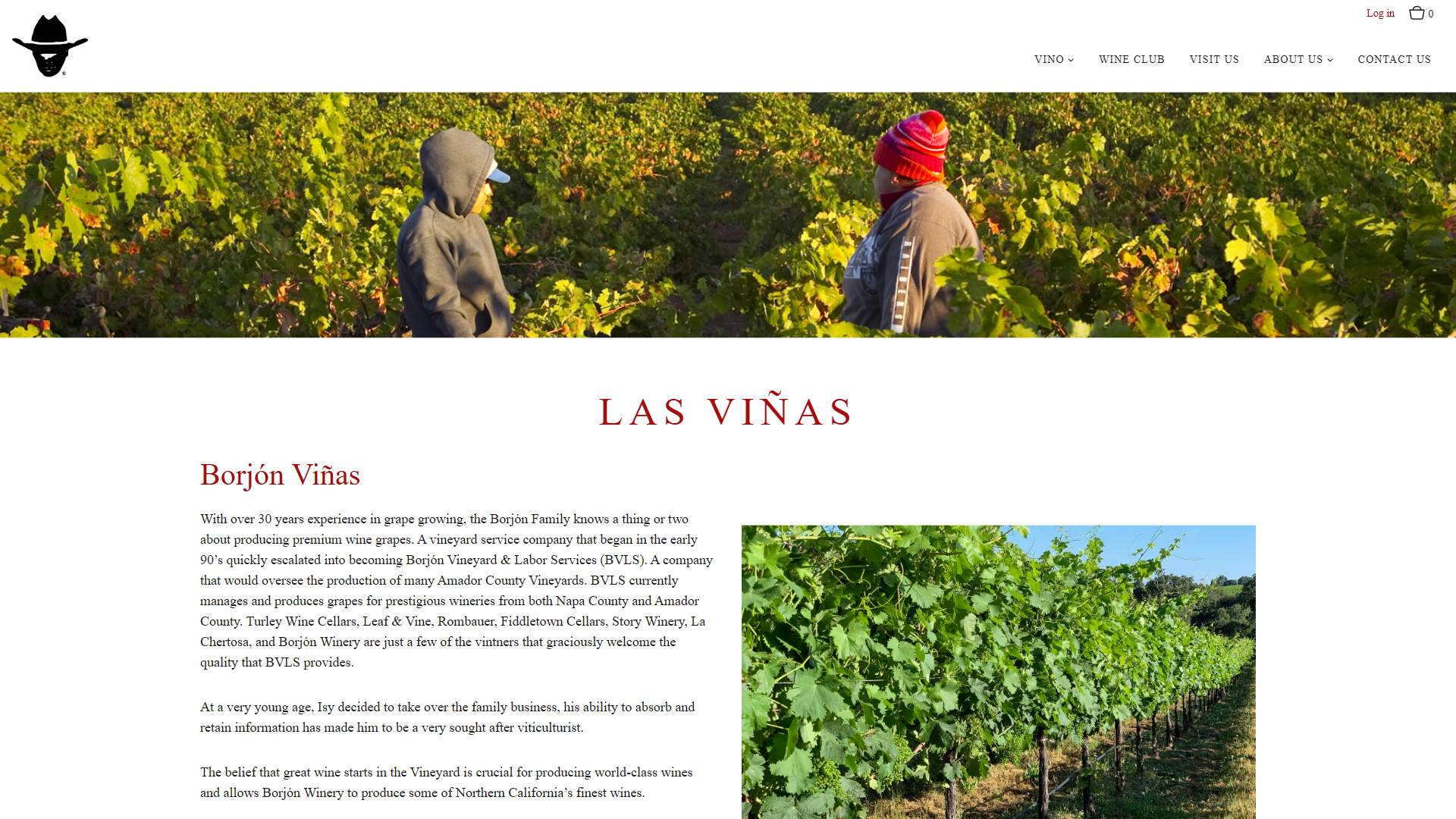 The Borjón vineyards page in a desktop browser, headed "Las Viñas", with pickers working among autumn vines above an account of the family's grape growing in Amador County.
