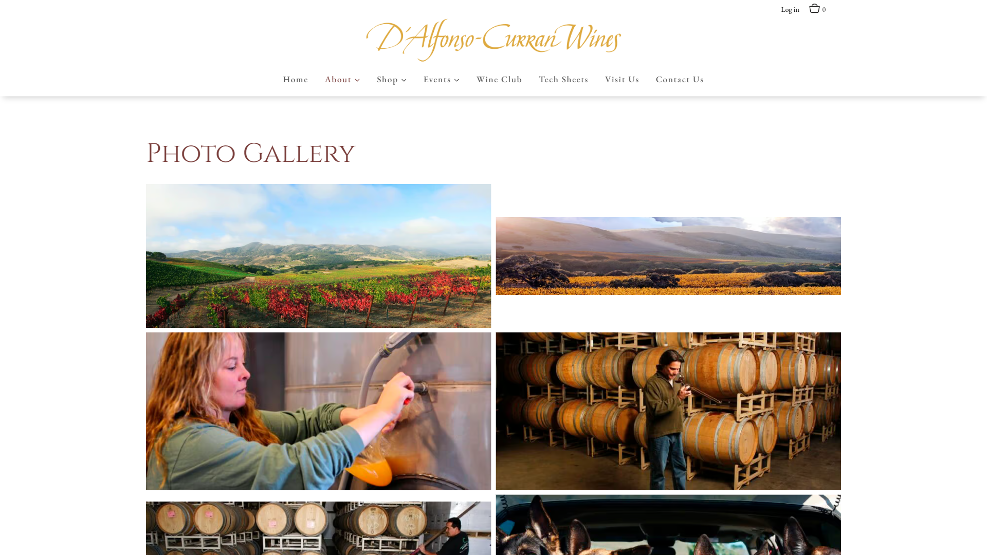 The D'Alfonso-Curran photo gallery in a desktop browser, headed "Photo Gallery", showing a grid of vineyard, cellar and winemaking photographs.
