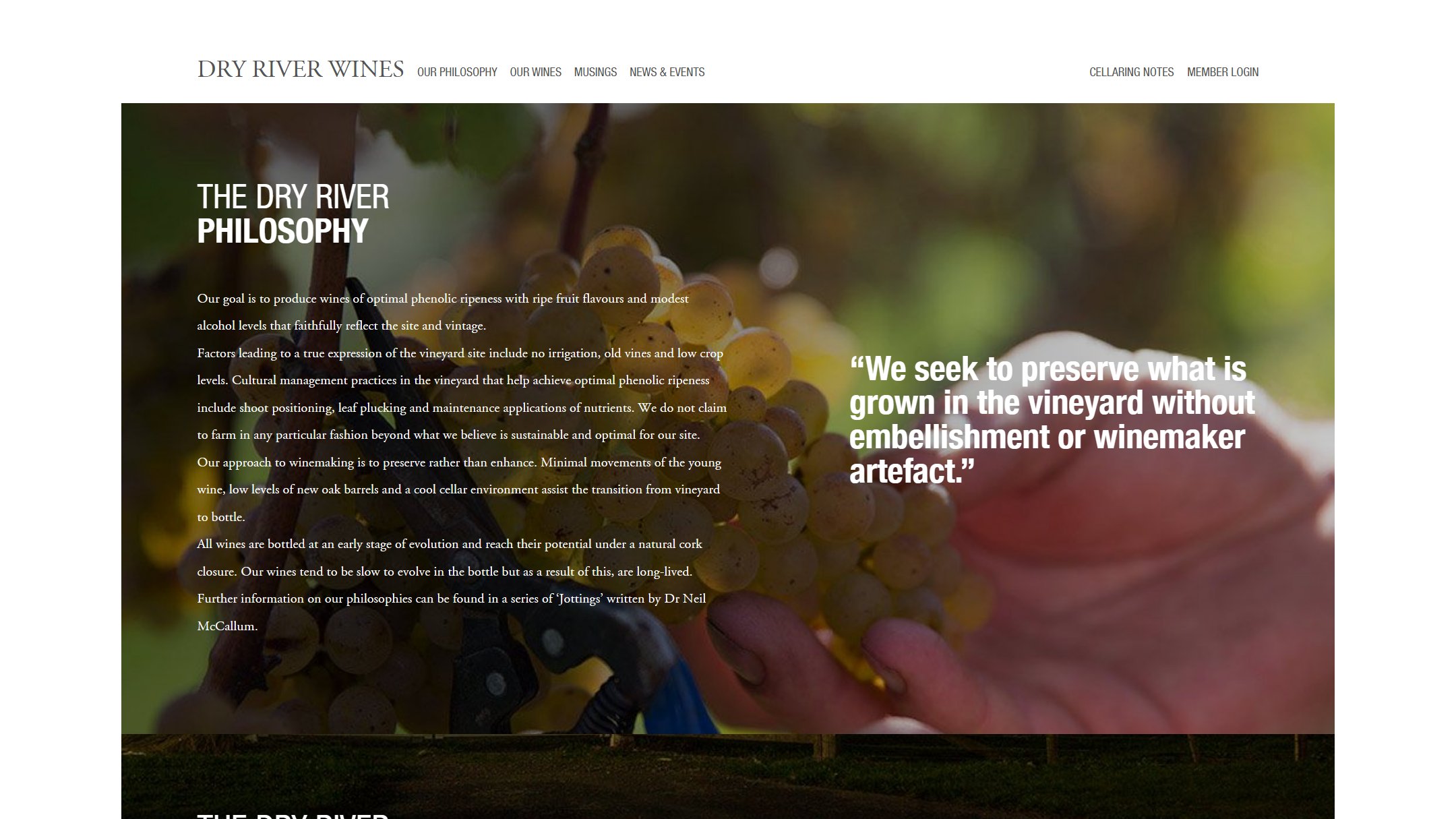 The Dry River Philosophy page on Shopify in 2020: text over a photograph of grapes being picked