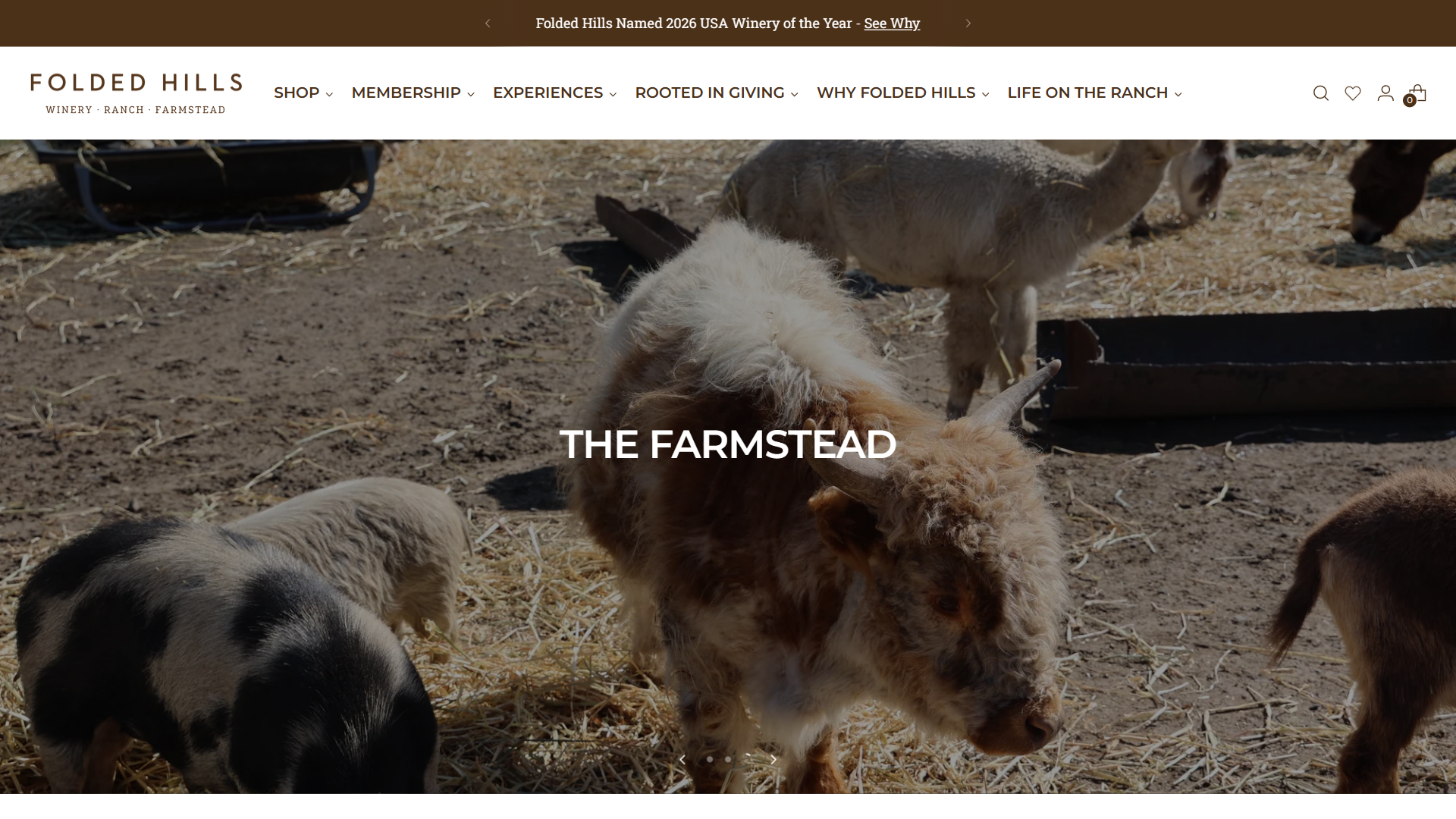 The Folded Hills farmstead page in a desktop browser, headed "The Farmstead", with farm animals including a shaggy highland cow and pigs in the yard.