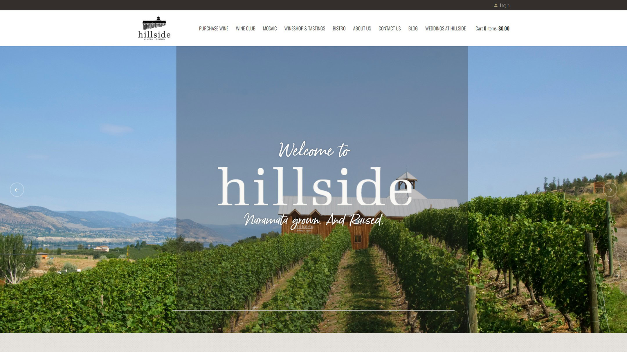 The old Hillside home page in 2023: a horizontal menu over a vineyard photo with the words Welcome to hillside.