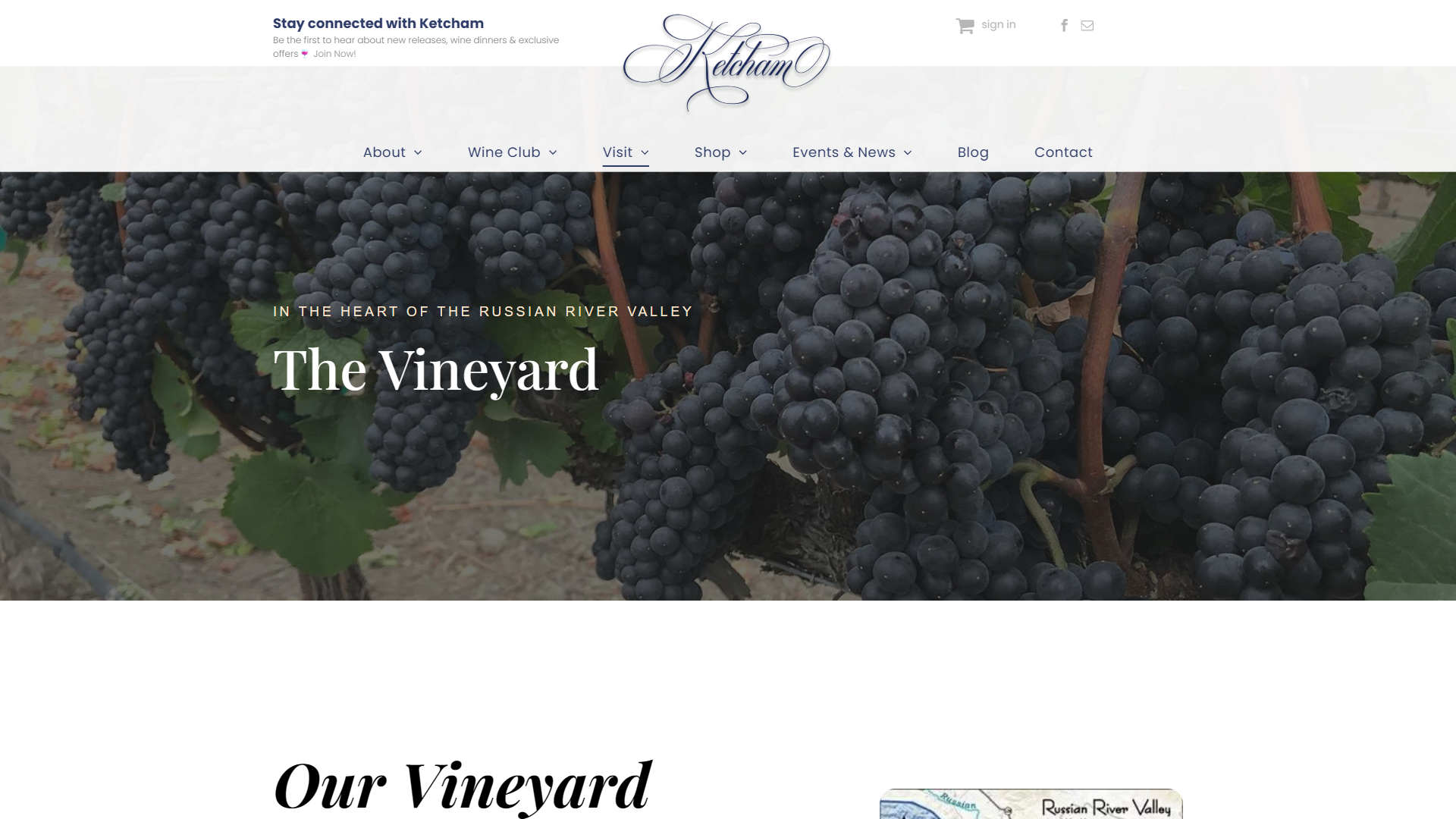 The Ketcham Estate vineyard page in a desktop browser, headed "The Vineyard" over heavy bunches of dark grapes, with a section on the Russian River Valley site and a map below.
