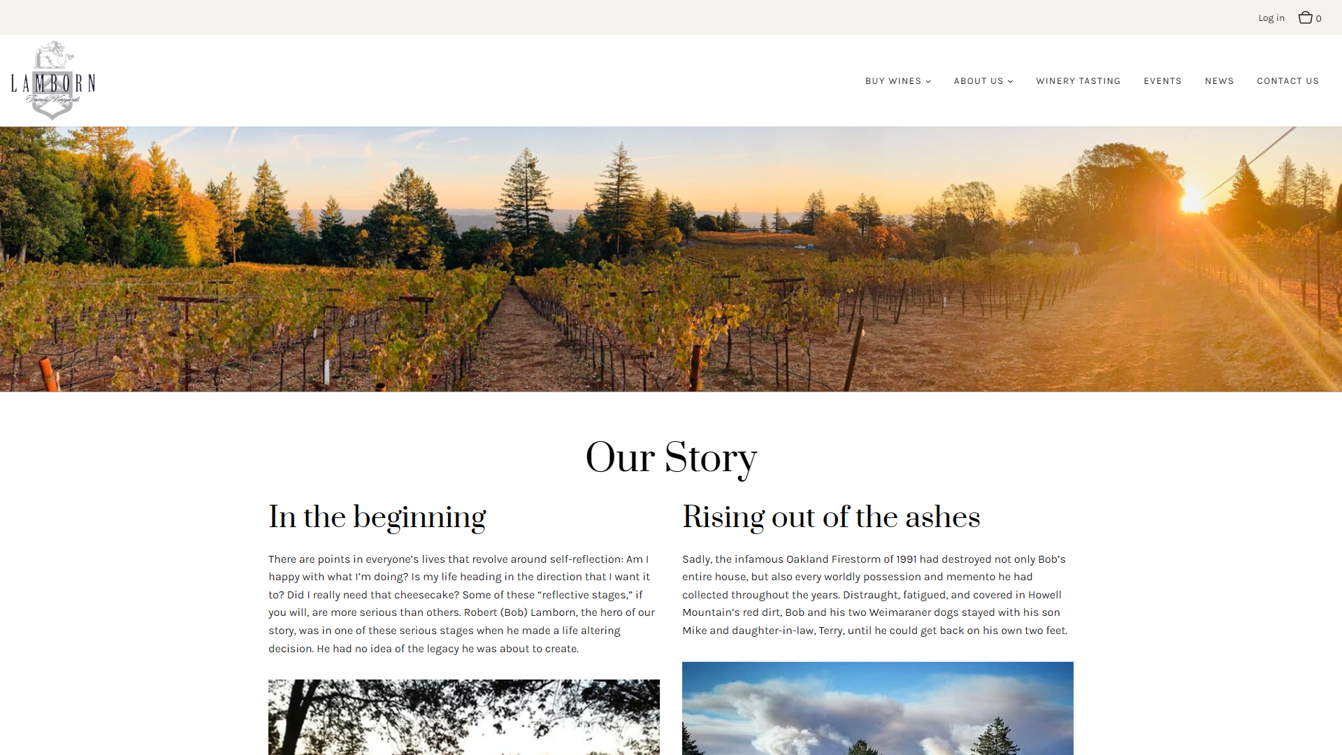 The Lamborn story page in a desktop browser, with the sun breaking through the trees over an autumn vineyard, above the heading "Our Story" and its opening sections.
