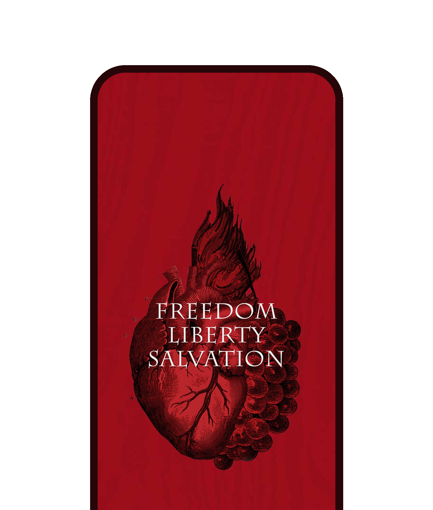 The Saorsa home page on a phone