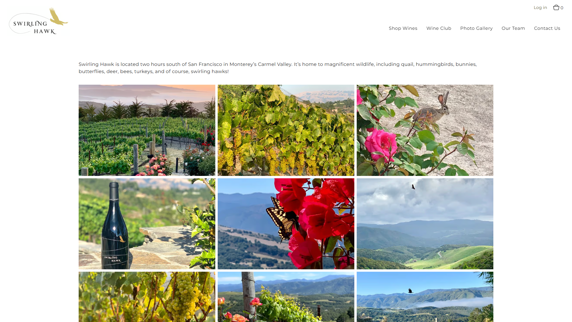 The Swirling Hawk photo gallery in a desktop browser, a grid of nine photographs of the vineyard, a rabbit, a swallowtail butterfly on red roses, a bottle among the vines and the surrounding hills, above a note on the wildlife of Carmel Valley.