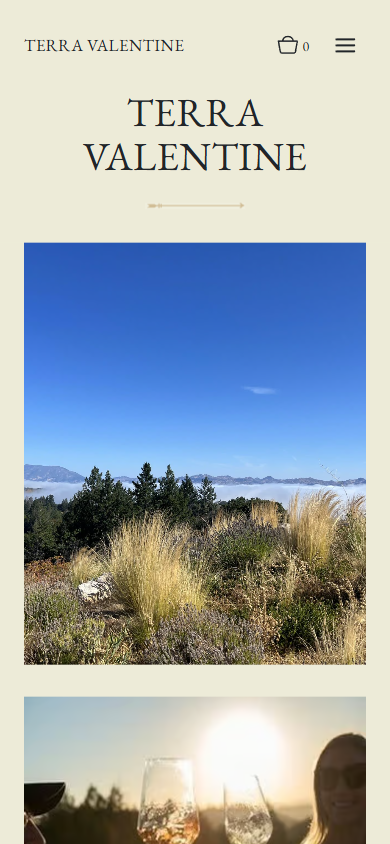 The Terra Valentine homepage on a phone, with the wordmark above the mountain photograph and a sunset toast below.