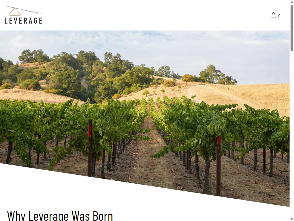 The About page on a tablet: vine rows climbing toward golden oak-dotted hills in Paso Robles, above "Why Leverage Was Born".