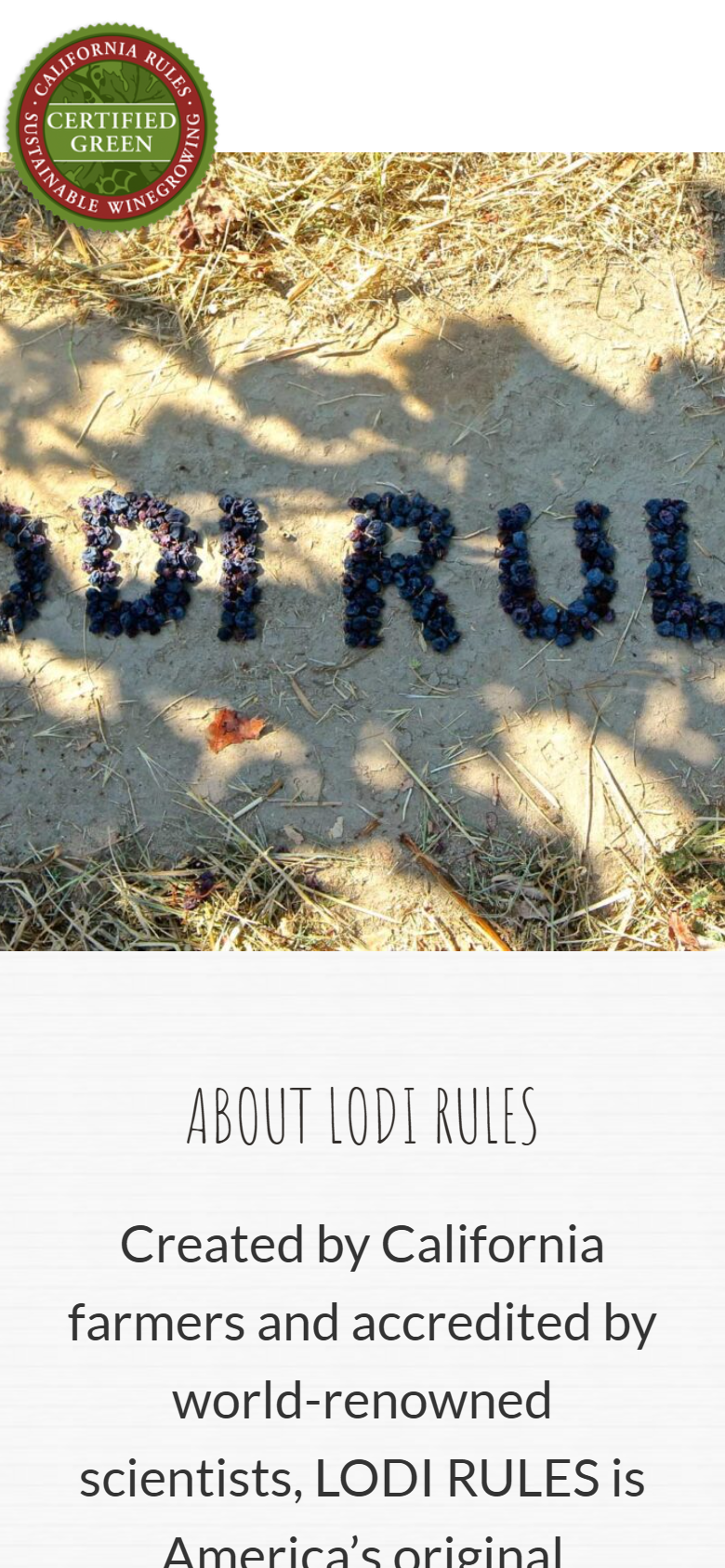 The About Lodi Rules page on a phone, describing America's original sustainable winegrowing program.
