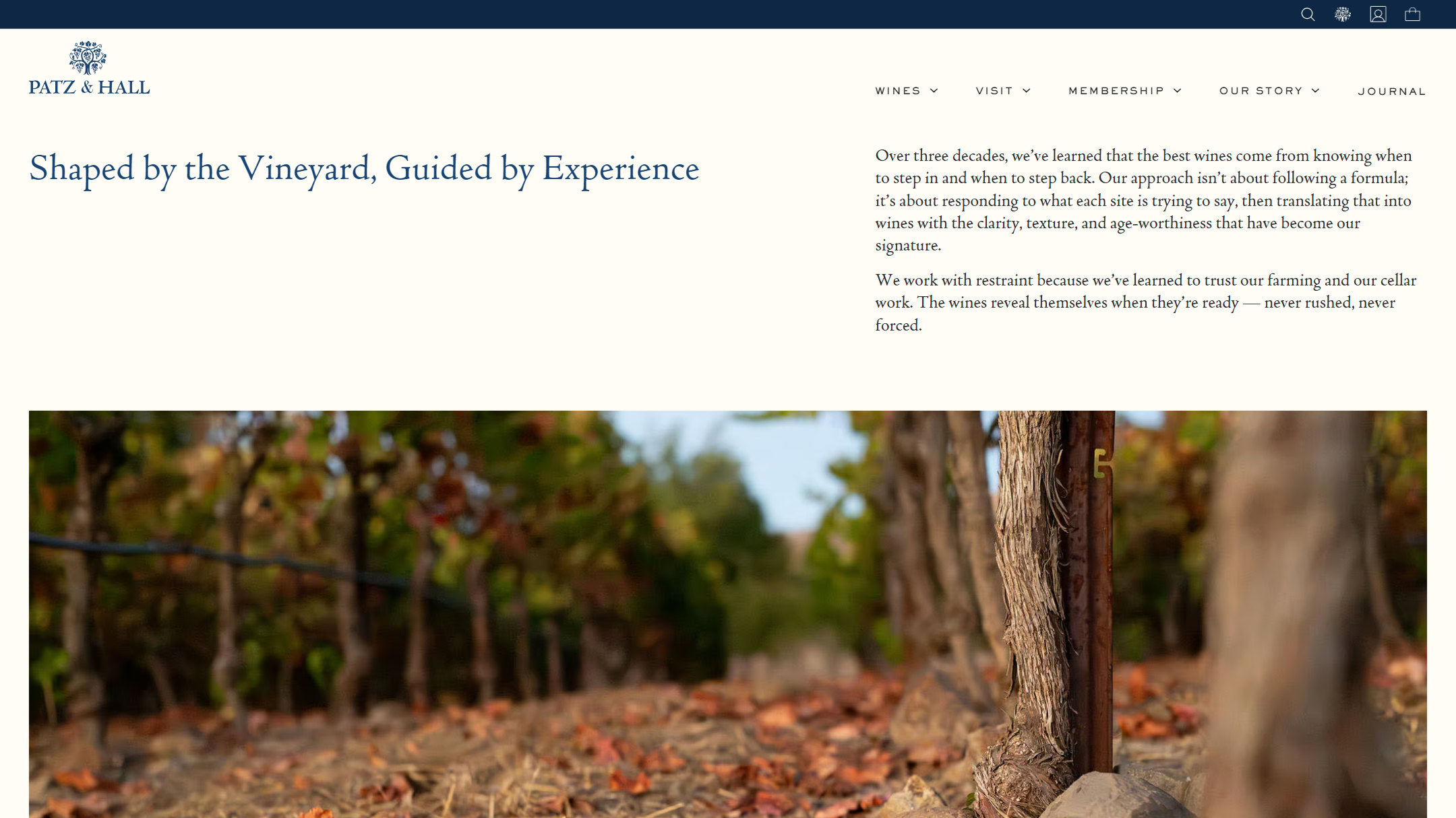 The Patz & Hall winemaking page at launch in 2025: Shaped by the Vineyard, Guided by Experience