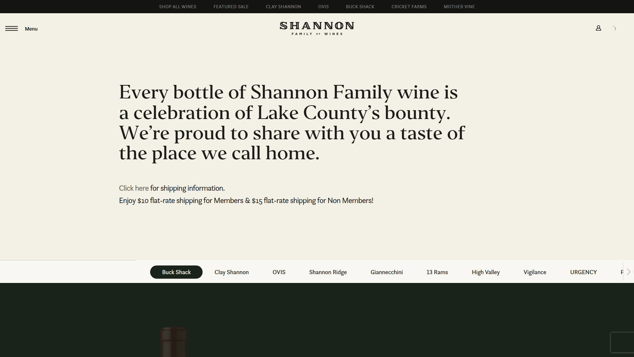 The Shannon shop in March 2025: an introduction and a row of brand tabs
